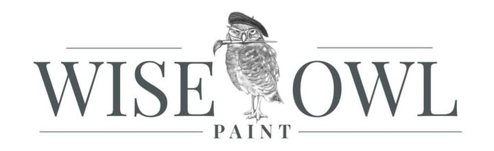 Wise Owl Paint
